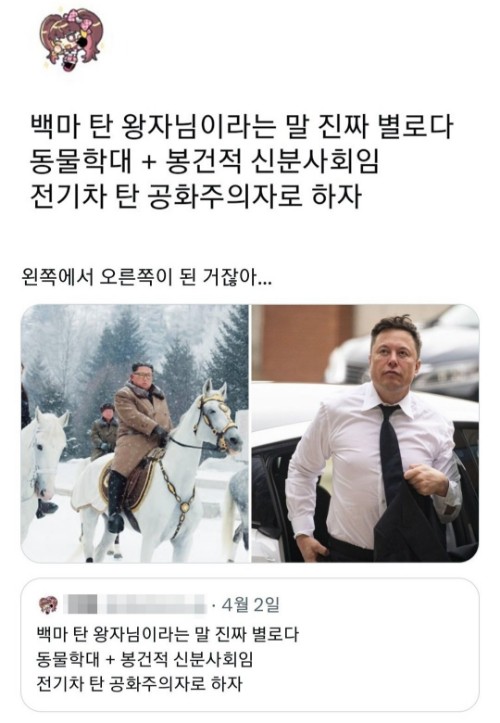 도찐개찐.jpg