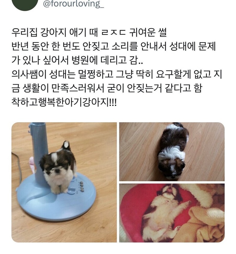 귀여워.jpg