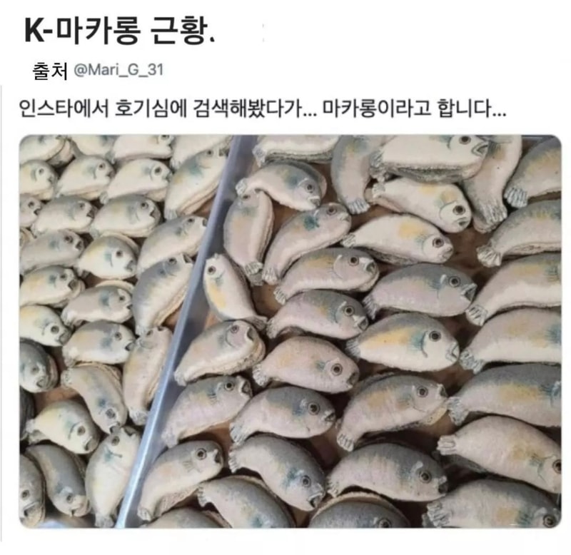 마카롱.jpg
