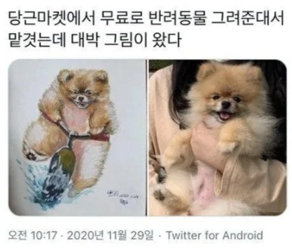다운로드.jpg