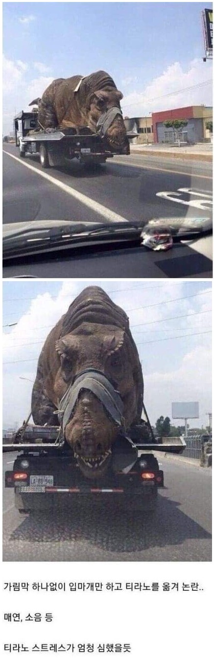 공룡학대.jpg