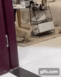 r2G8vE.gif