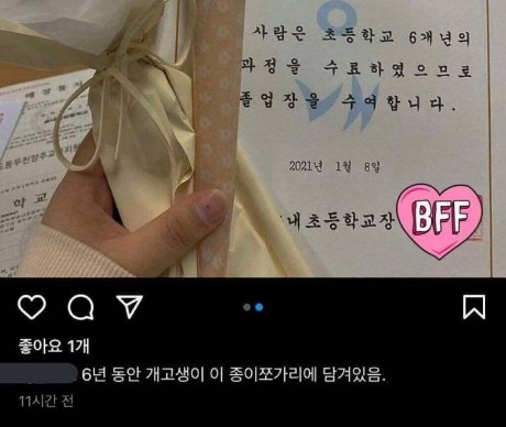 초딩.jpg