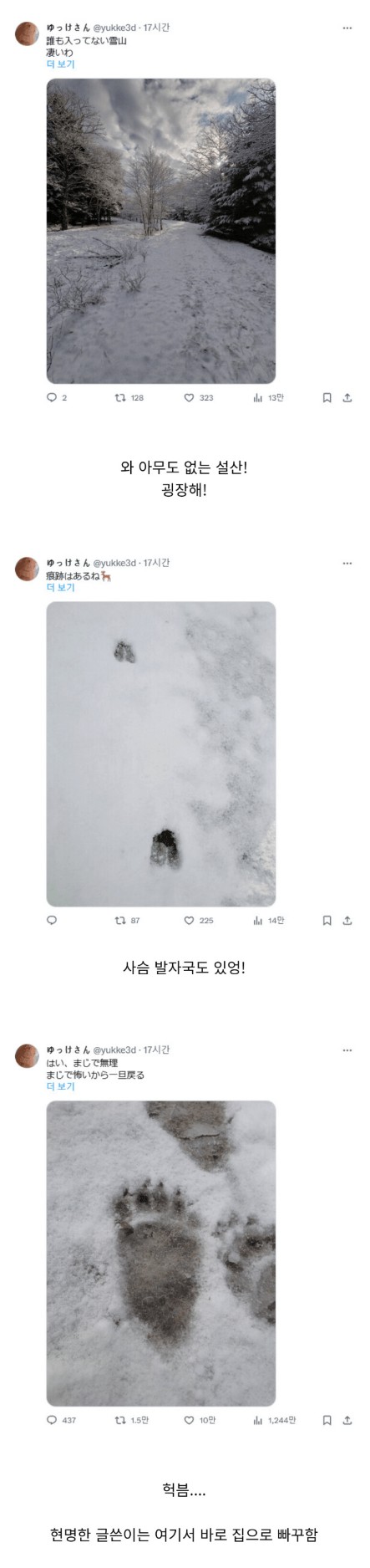 곰이다.jpg