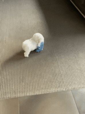 LeadingDecentKentrosaurus-size_restricted.gif