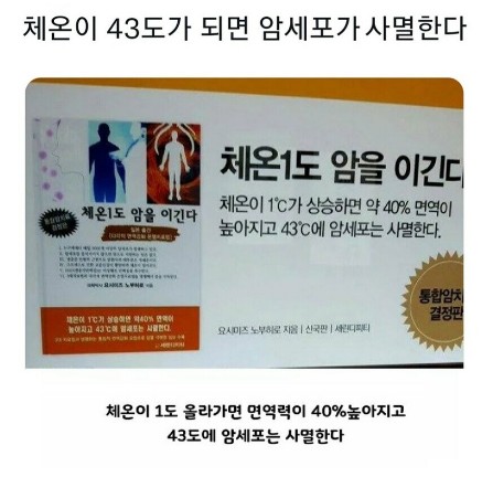 암세포.jpg