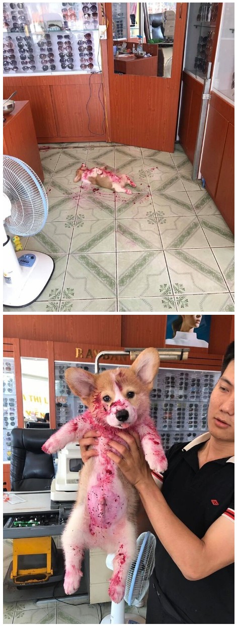 용과.jpg