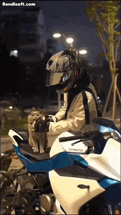 01.gif
