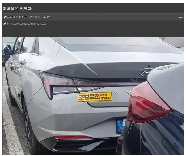 트렁크 포기.JPG