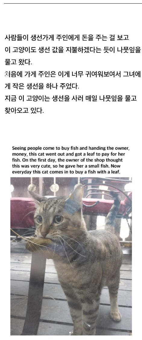 rndkd.jpg