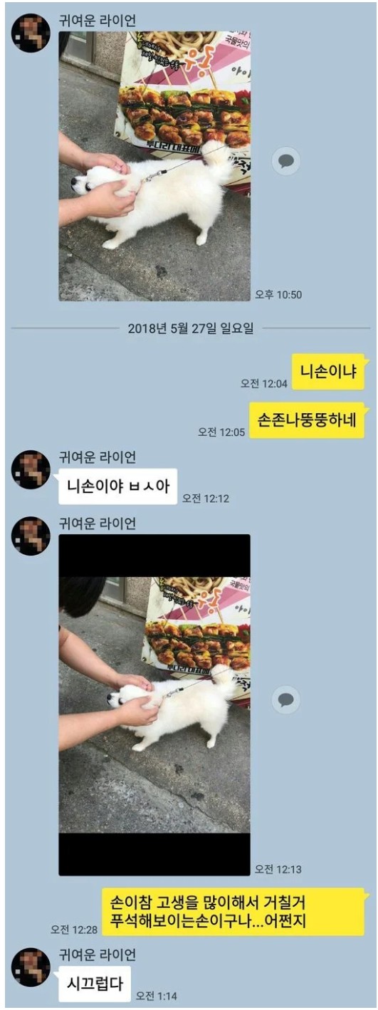 손.jpg