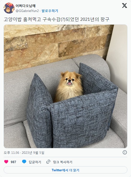 구속.jpg