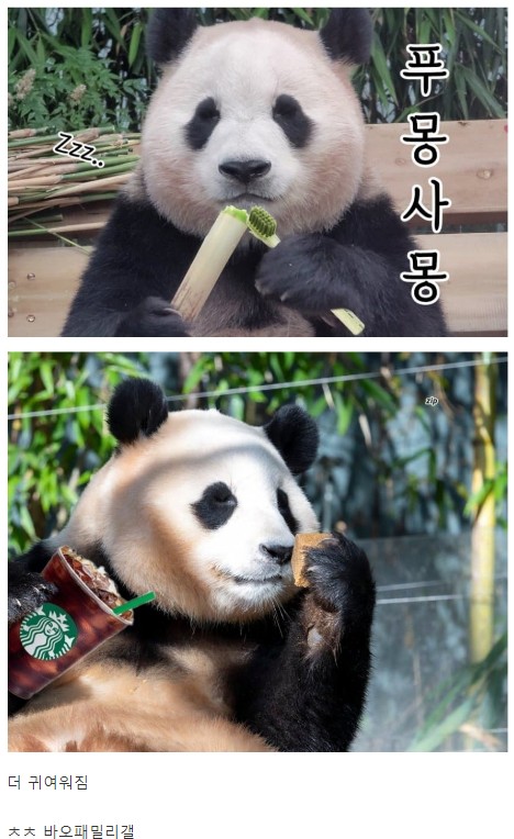 비몽사몽.jpg