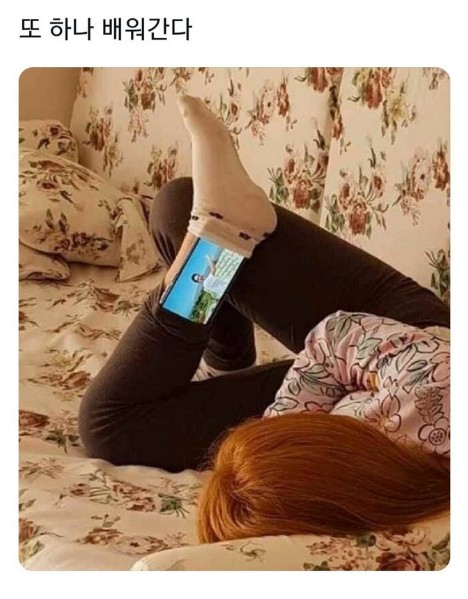 스마트폰.jpg