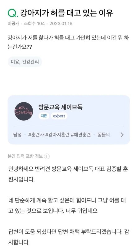 강아지귀여워.jpg