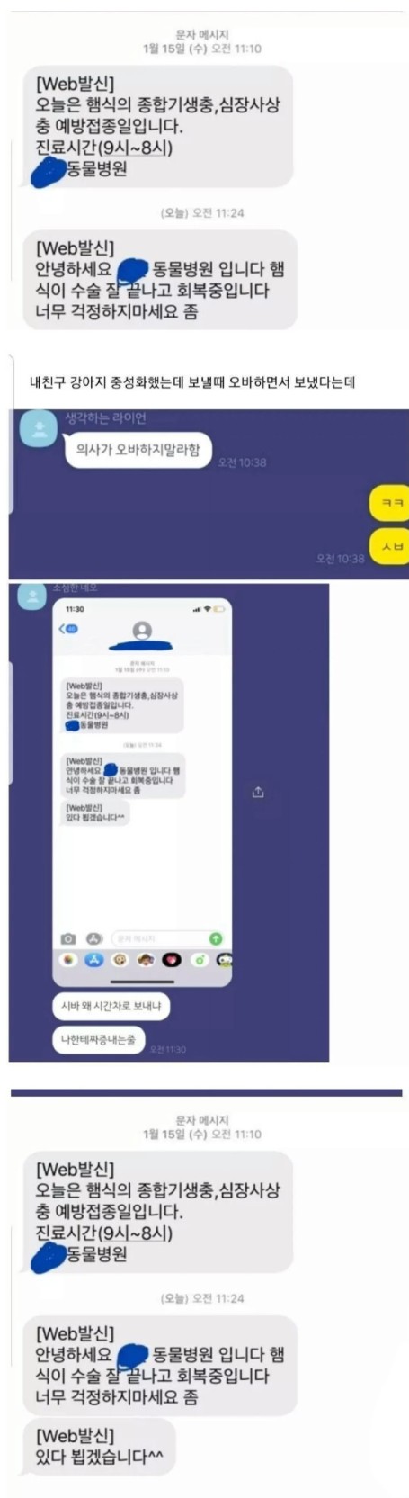 친구네 강아지 중성화 수술했는데 수의사가 오바하지 말라함;;