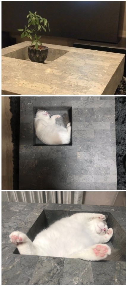 관엽식물을 놓을 수 있는 테이블을 산 결과.jpg
