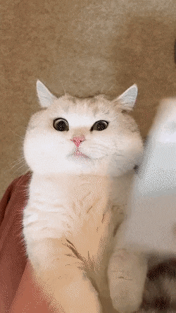 007.gif