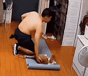 3.gif
