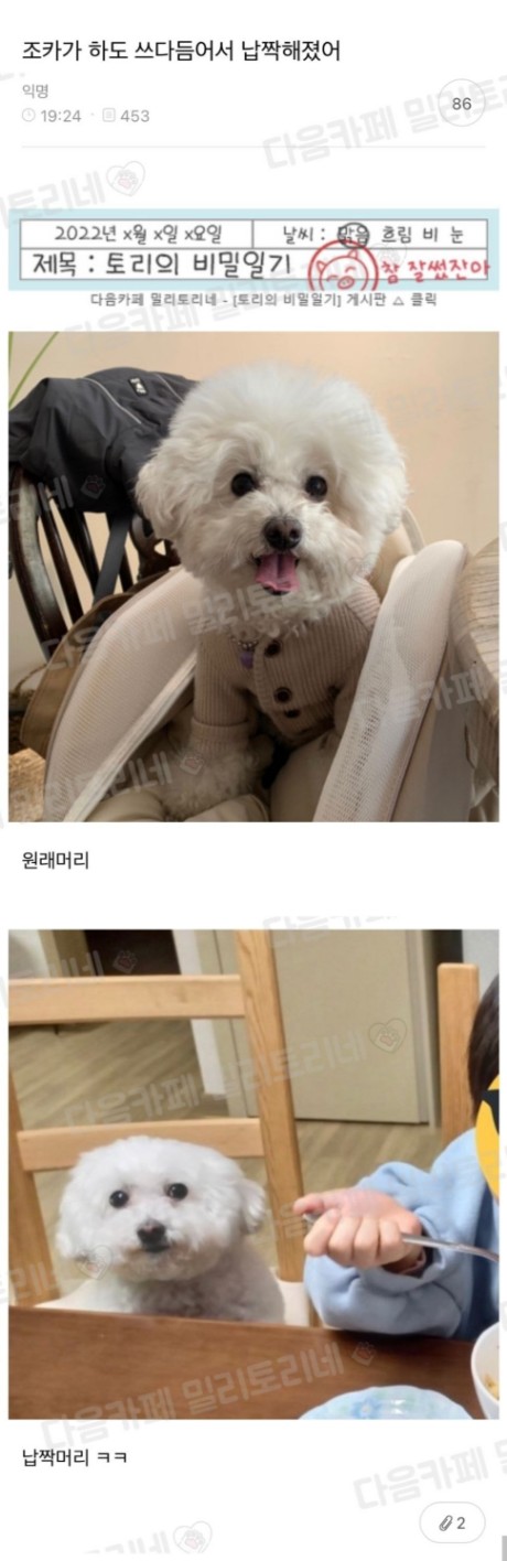 볼륨.jpg