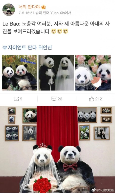 러바오  멍란 진후 레시는 보아라.jpg