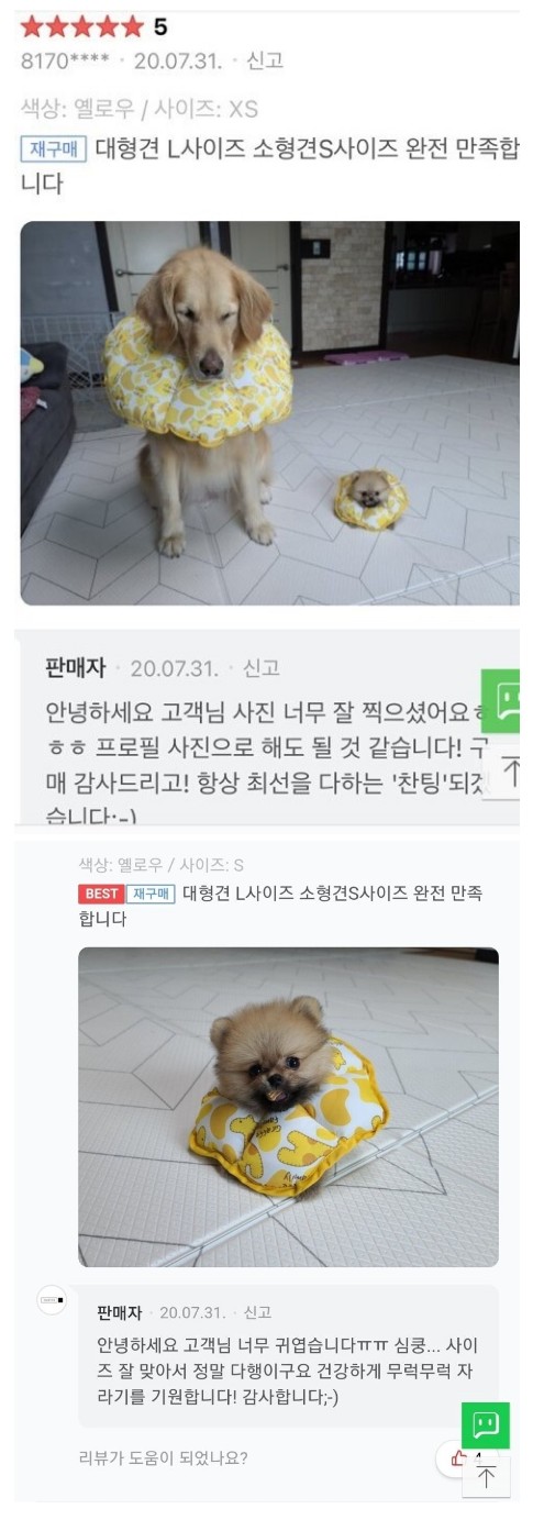 02.jpg