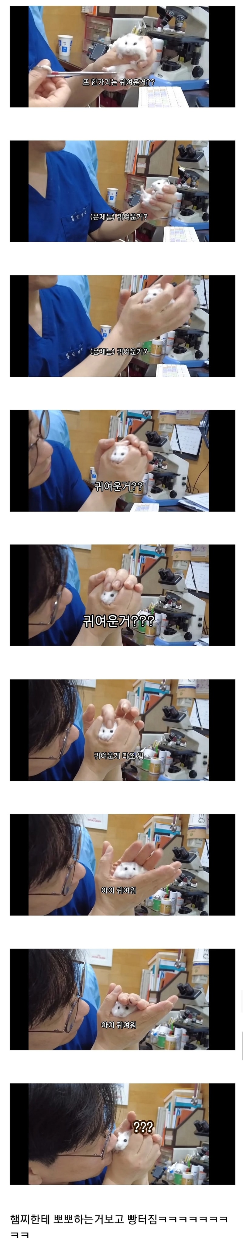 햄스터.jpg
