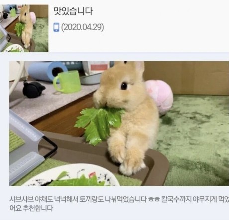 Screenshot 2023-06-13 at 11.57.37.jpg