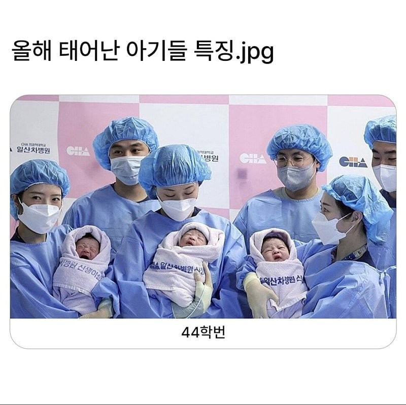 올해 태어난 아기들 특징