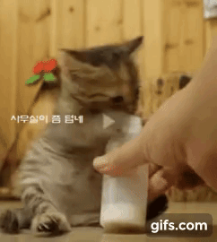 OgvpBB.gif