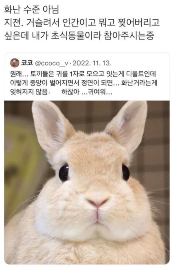 G.jpg