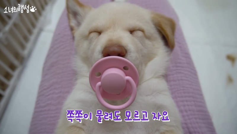 Screenshot_20220129-130111_YouTube.jpg