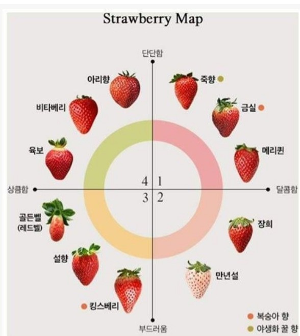 스크린샷_8-2-2024_14467_m.bboom.naver.com.jpeg