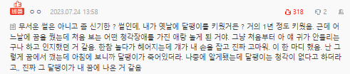 스크린샷 2025-06-05 150613.png