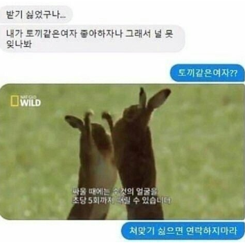 스크린샷 2025-02-25 151308.png