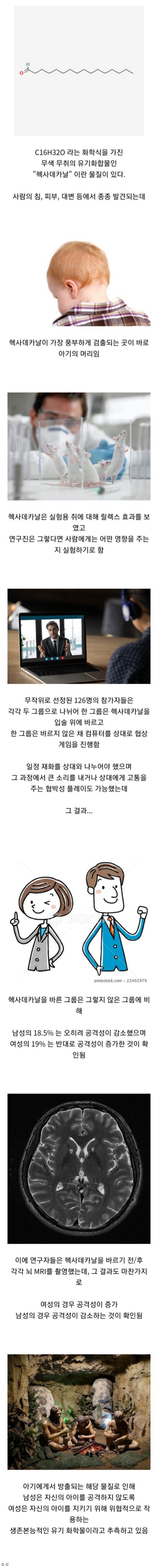 C426AF35-2711-4AEB-A631-B3A279349086.jpeg
