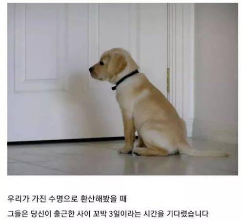 5F5EEAA6-45B2-44EC-AFAB-037640D84068.jpeg