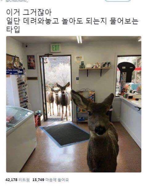 36FB78BC-93C3-4DA8-882B-8CDED915BAC8.jpeg