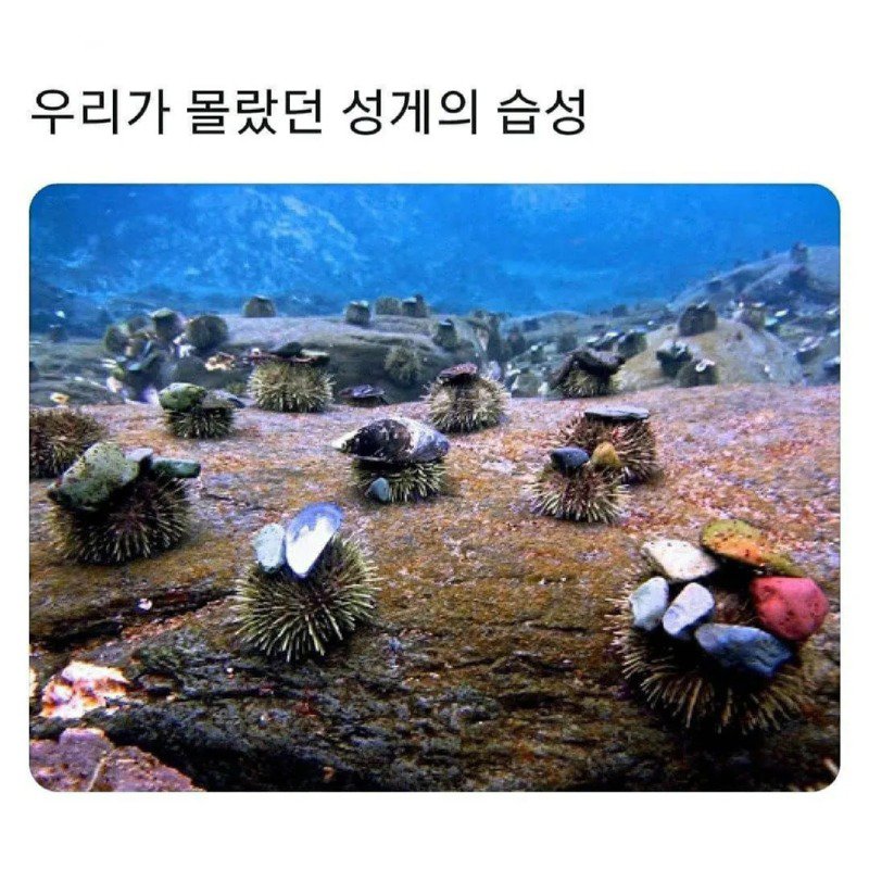 3078E6FC-76F0-45A4-B09F-E232E0A610C7.jpeg