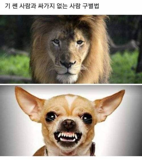 16ca2d0a0df49cf93.jpg