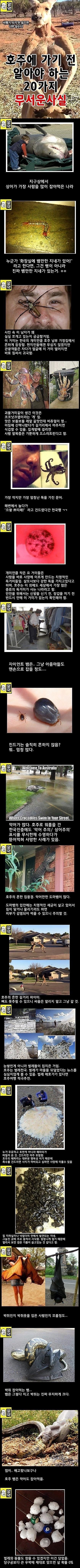98FD1D9A-8596-4FC5-B25E-29A60CEFADA5.jpeg