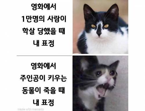 0F8FEA28-85F2-4E29-AD38-3100F75C21C6.jpeg