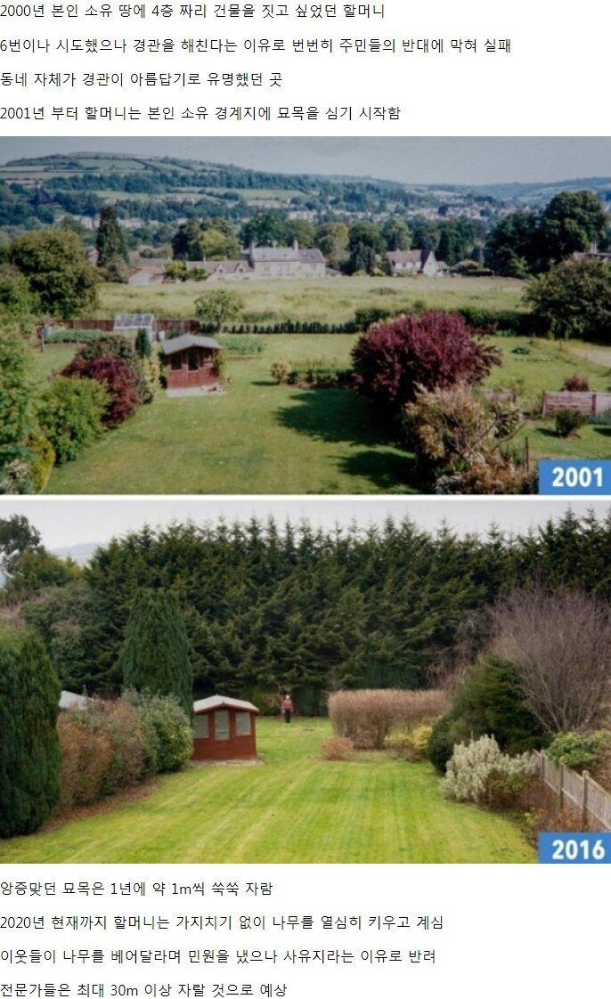 A05D0C06-3226-4775-8058-7E0D84BD96BE.jpeg