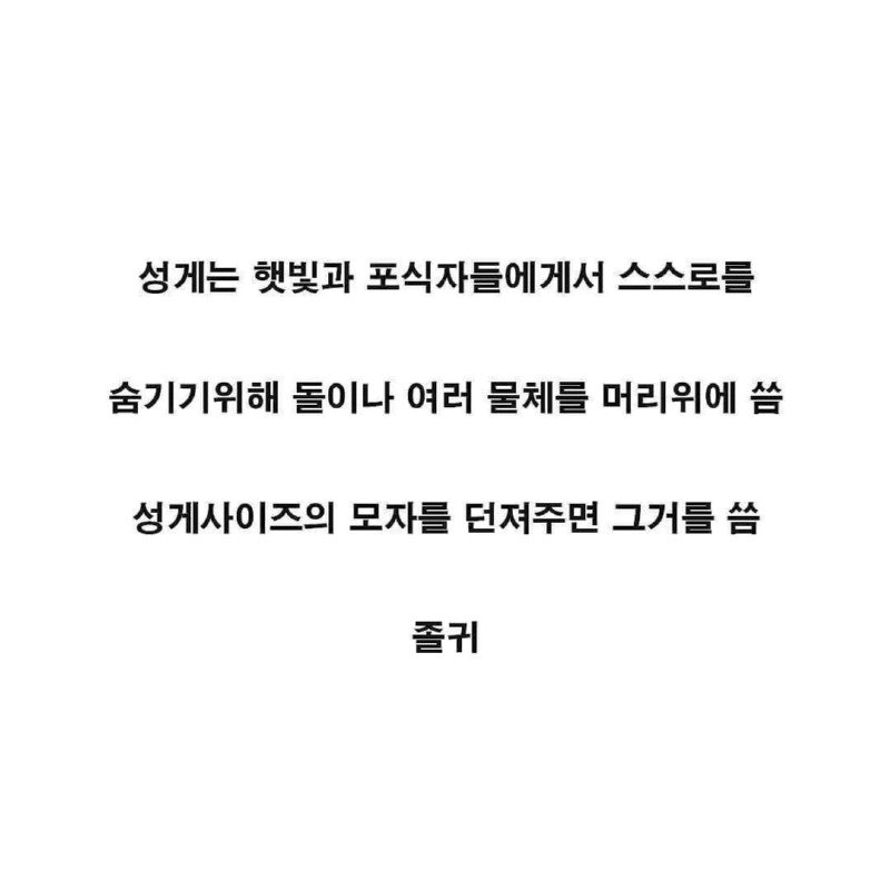 60BA7510-B22D-48B2-AC97-D546A1A9B3BD.jpeg