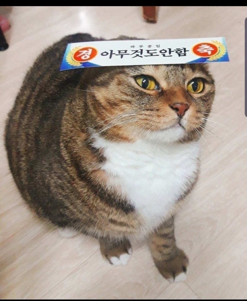 20191018_233406.jpg