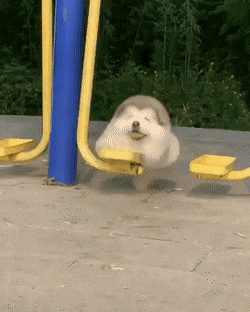 5a3d4bb963e5efb64c0c4ad608efdd2835b5db85.gif