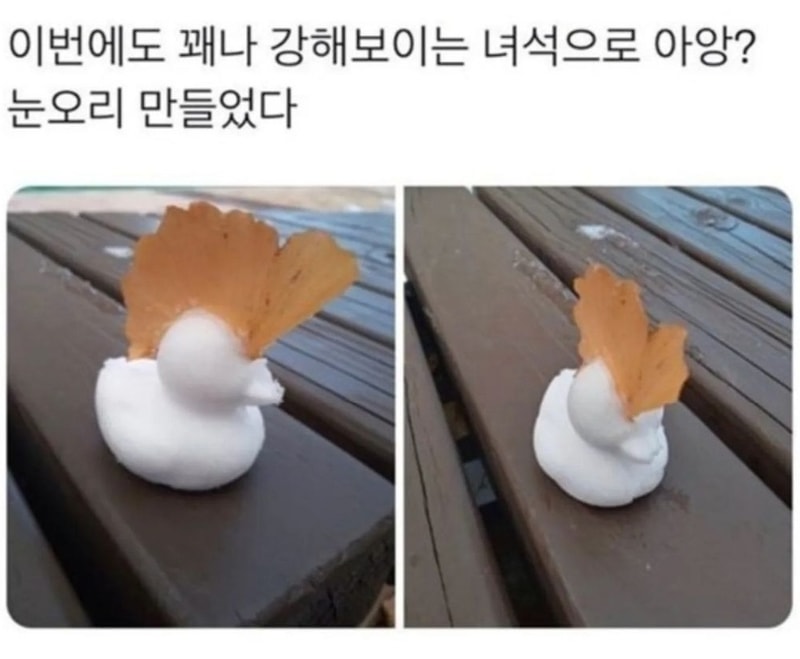 KakaoTalk_20221219_172914174.jpg