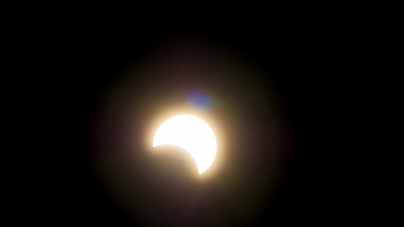 _2220327.JPG