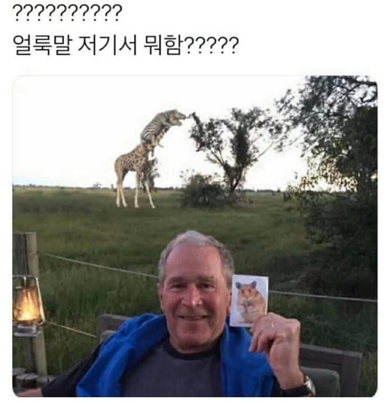 5.jpeg