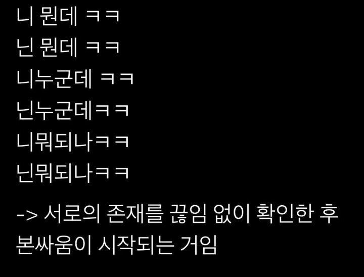 경상도_싸움의_특징.jpg
